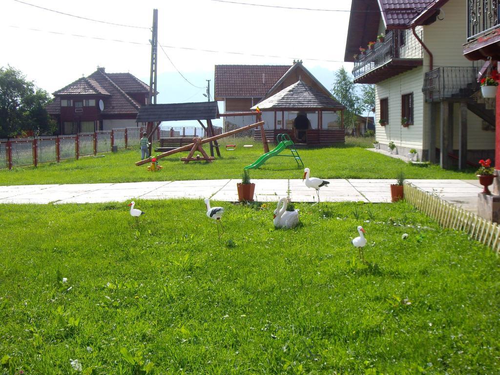 Garofita Pietrei Craiului Hotel Peştera Exterior foto