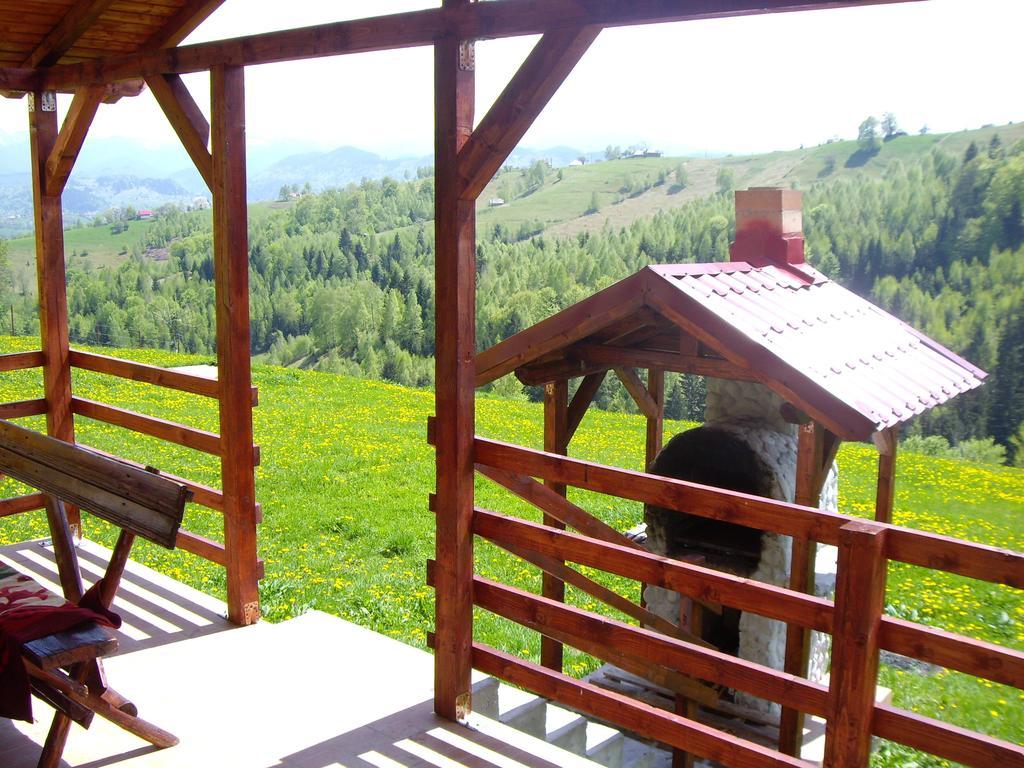 Garofita Pietrei Craiului Hotel Peştera Quarto foto