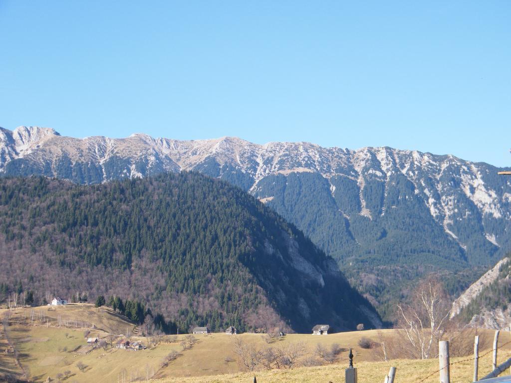 Garofita Pietrei Craiului Hotel Peştera Exterior foto