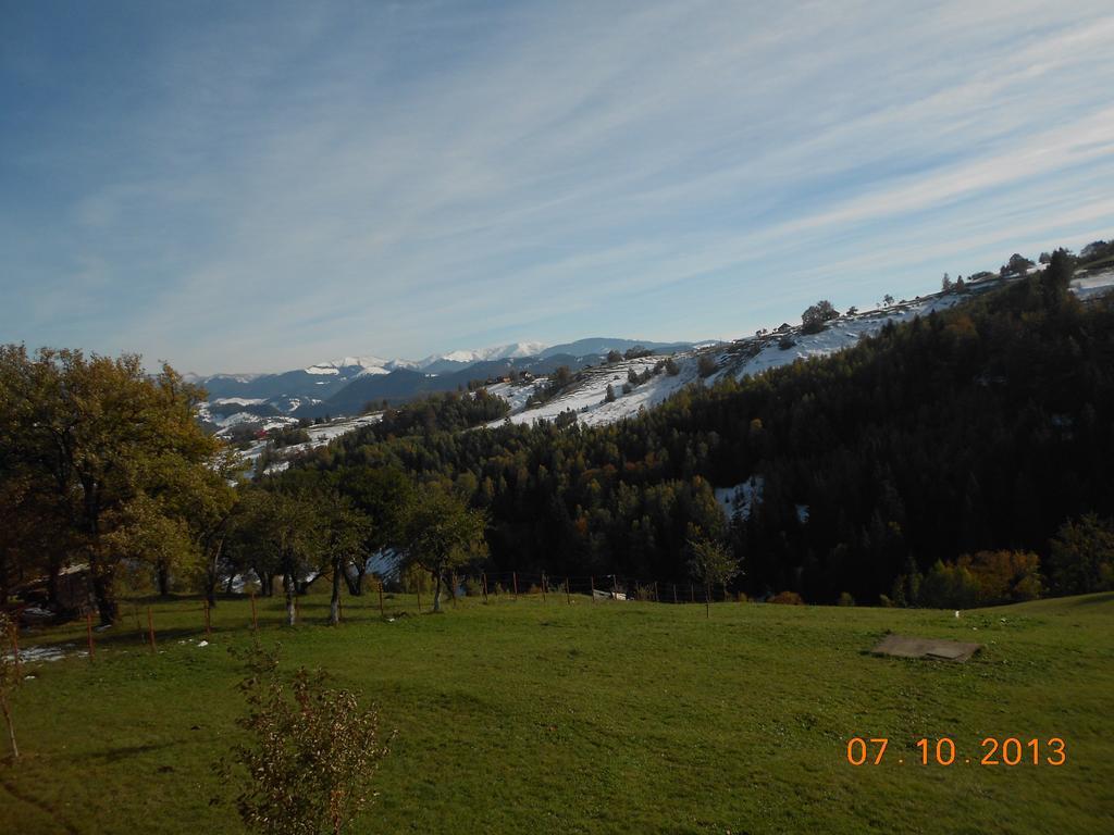 Garofita Pietrei Craiului Hotel Peştera Quarto foto